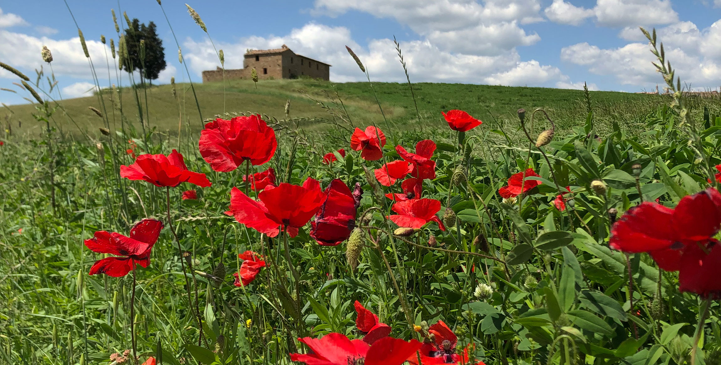 Val d’Orcia in Toscana